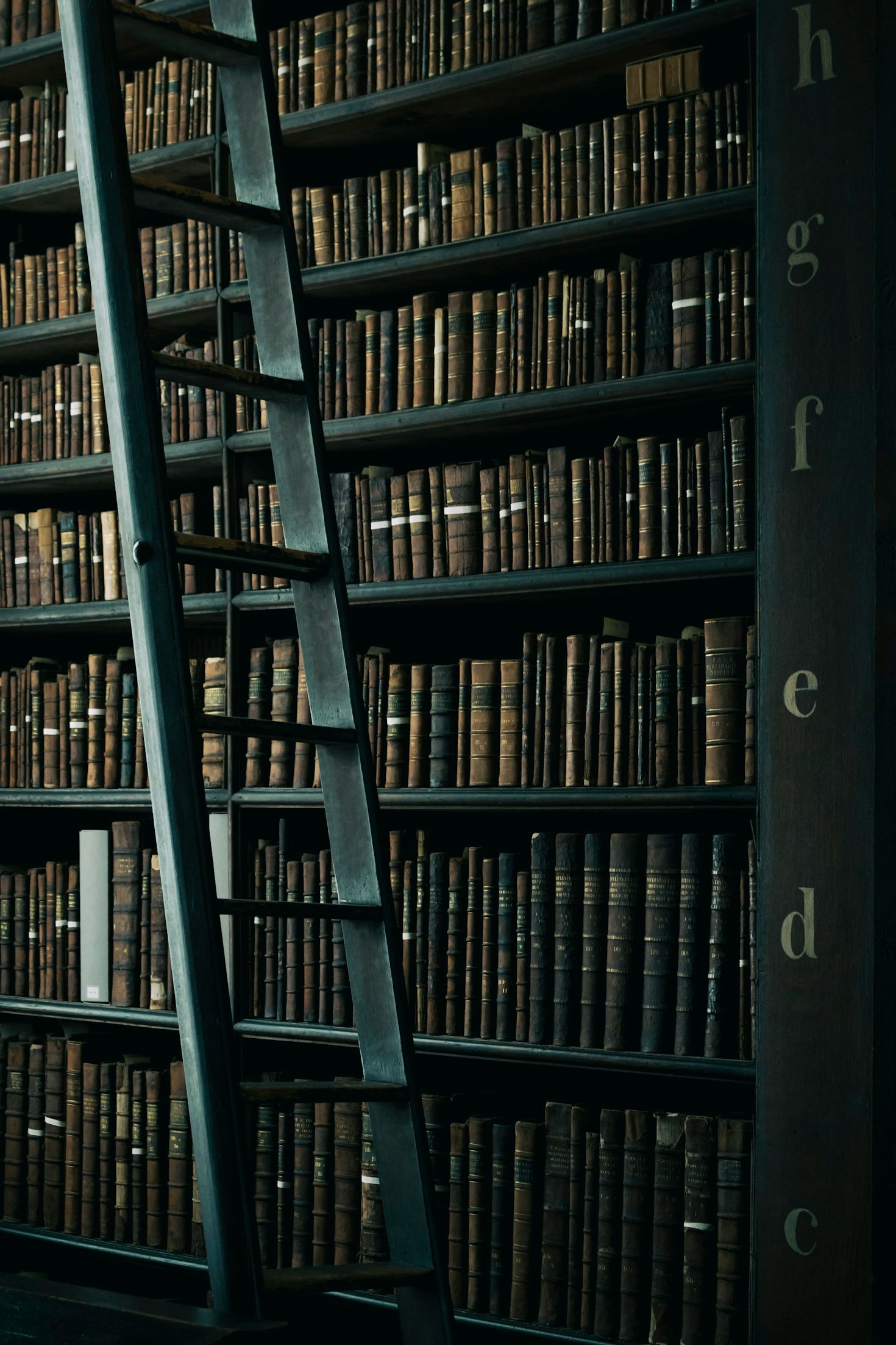 Hierologia: o estudo do sagrado revelado
